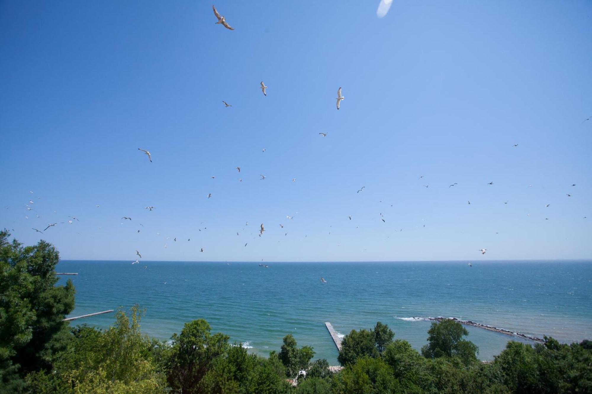 Bisser Hotel - Free Parking - Free Pool Access Balchik Exterior foto